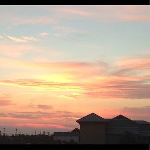 Meet your Posher, Abigail